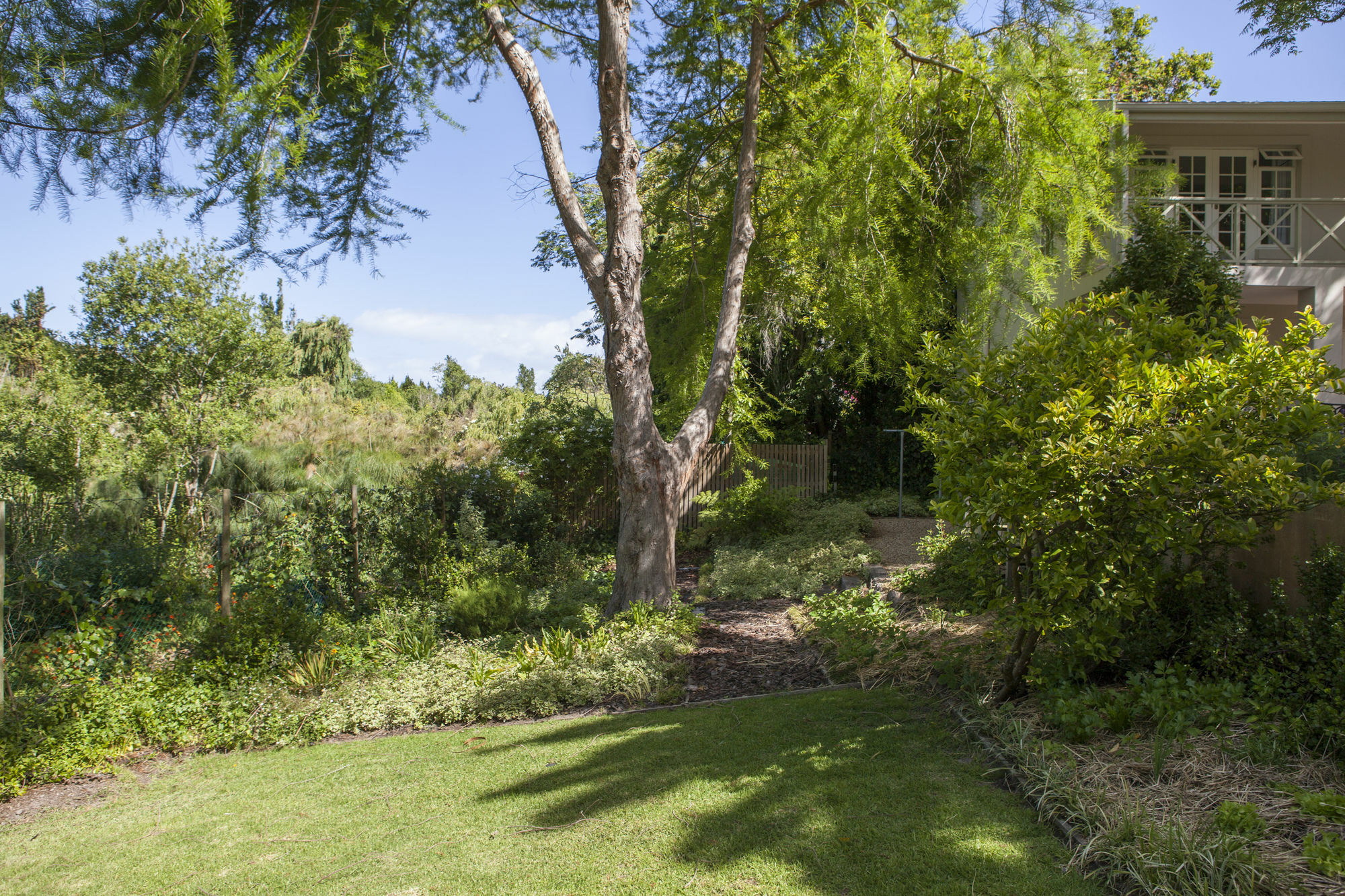 33 Strawberry Lane - Studio And Cottage Kapstaden Eksteriør billede