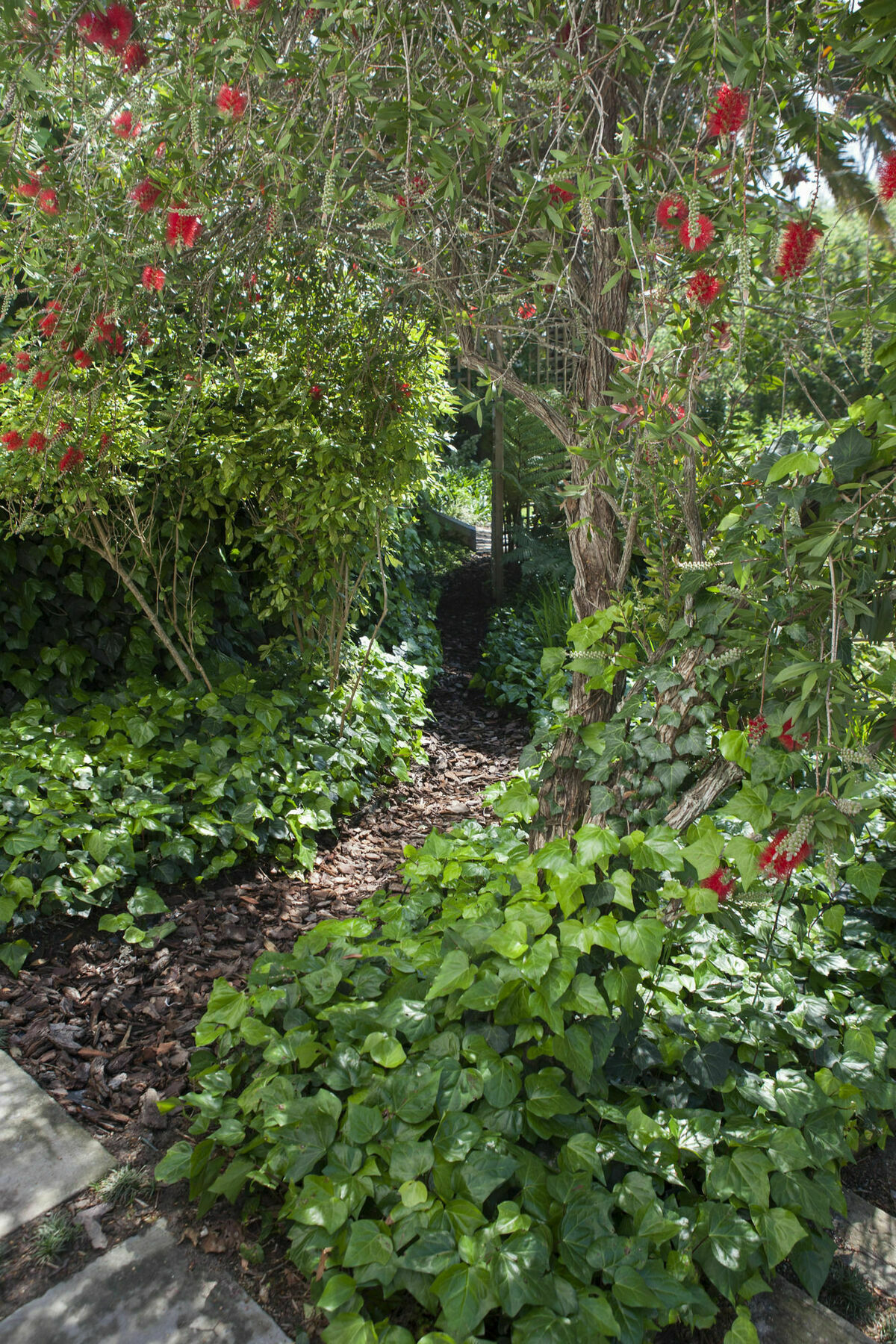 33 Strawberry Lane - Studio And Cottage Kapstaden Eksteriør billede